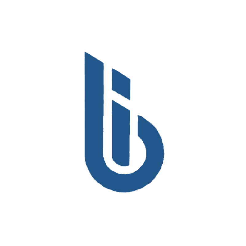 BURSA CITY INSAAT Logo